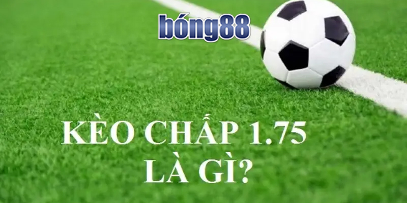 kèo chấp 1.75 là gì